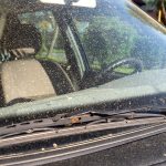 Windscreen replacement - Car windshield covered by tree pollen