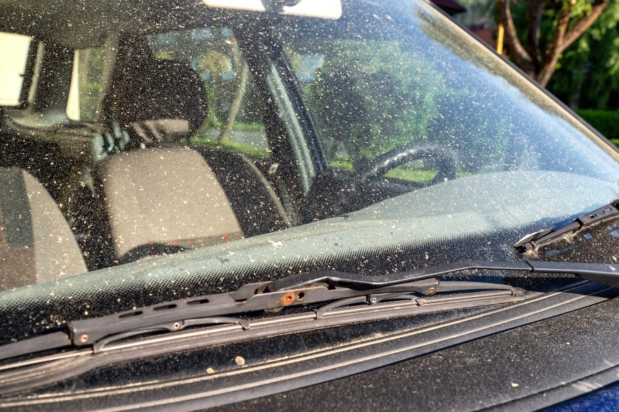 How Pollen Accumulation Could Bring Windscreen Calamity